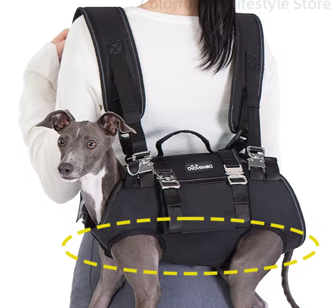 PawPack Dog Backpack