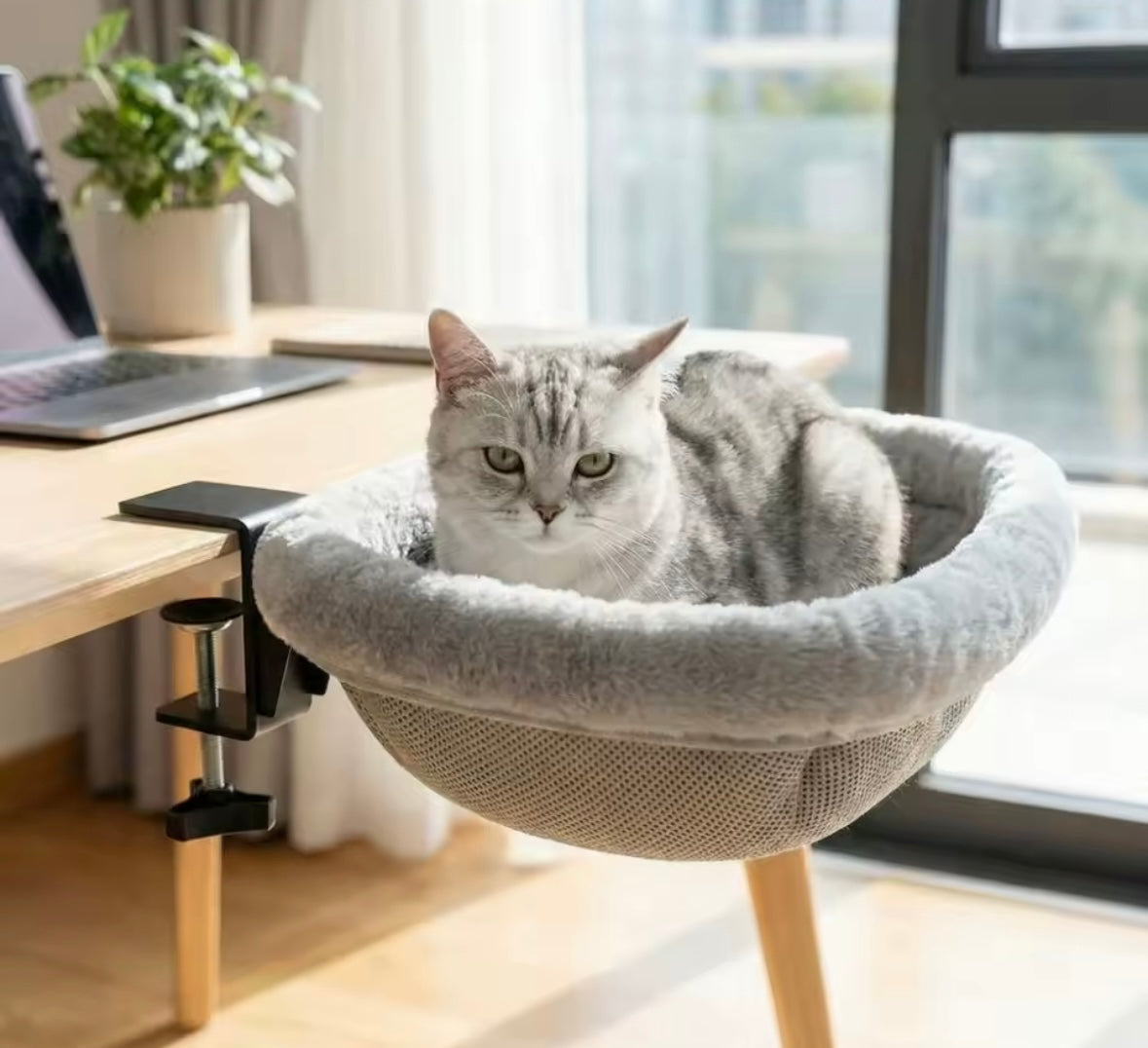 DeskPurr Hammock