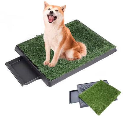 GrassPaws Indoor Dog Potty