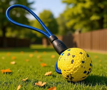 PopRope Dog Ball Toy
