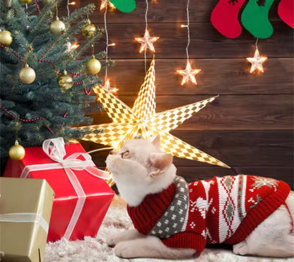 FelisCogito Sweater