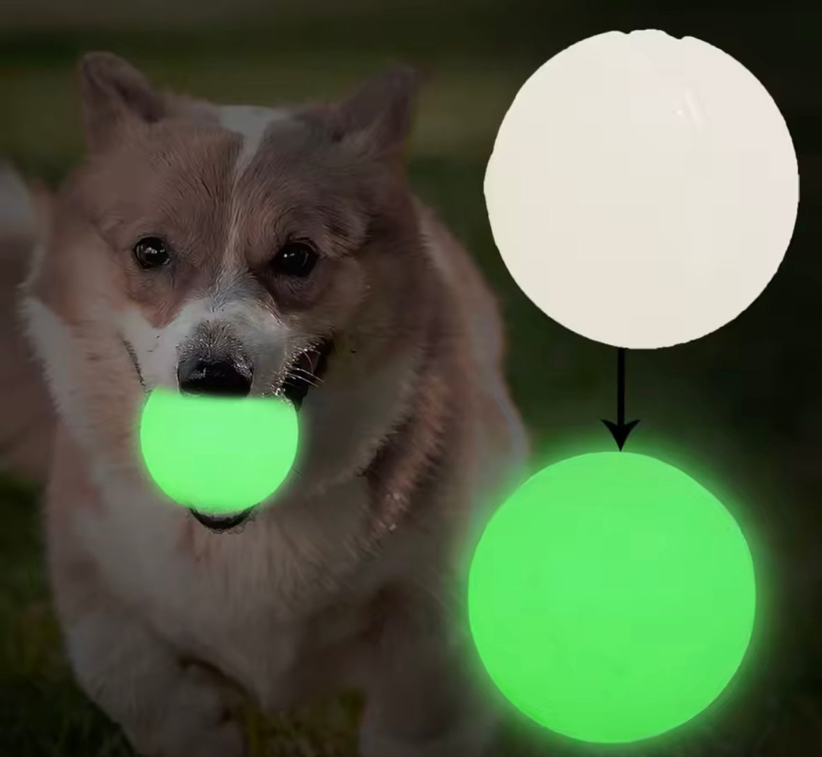 GlowBite Dog Chew Balls