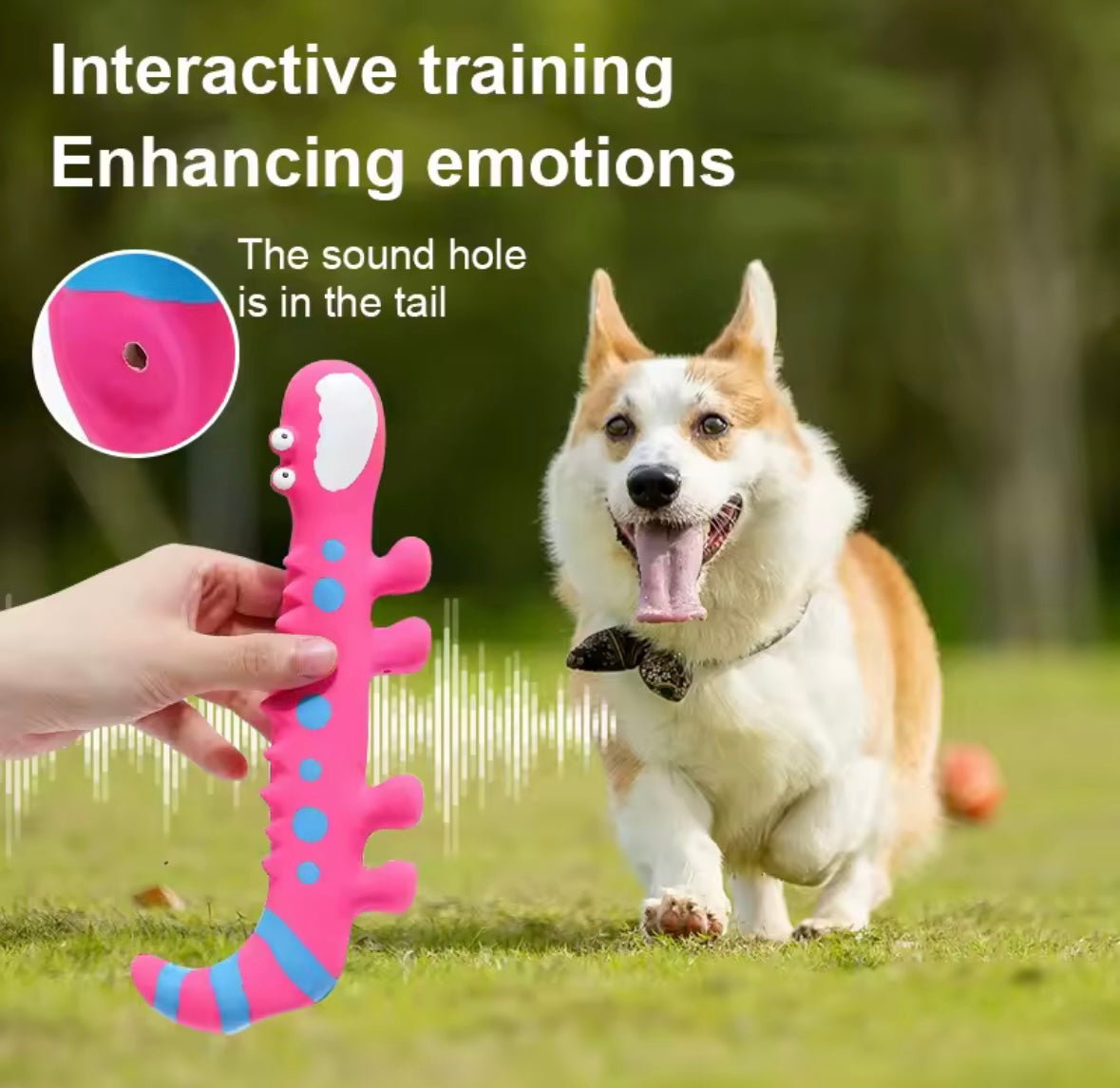 SqueakyLizard Play