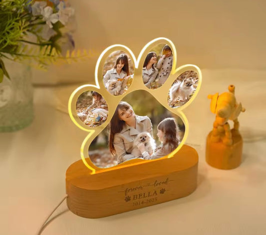 PetGlow LED Night Lamp