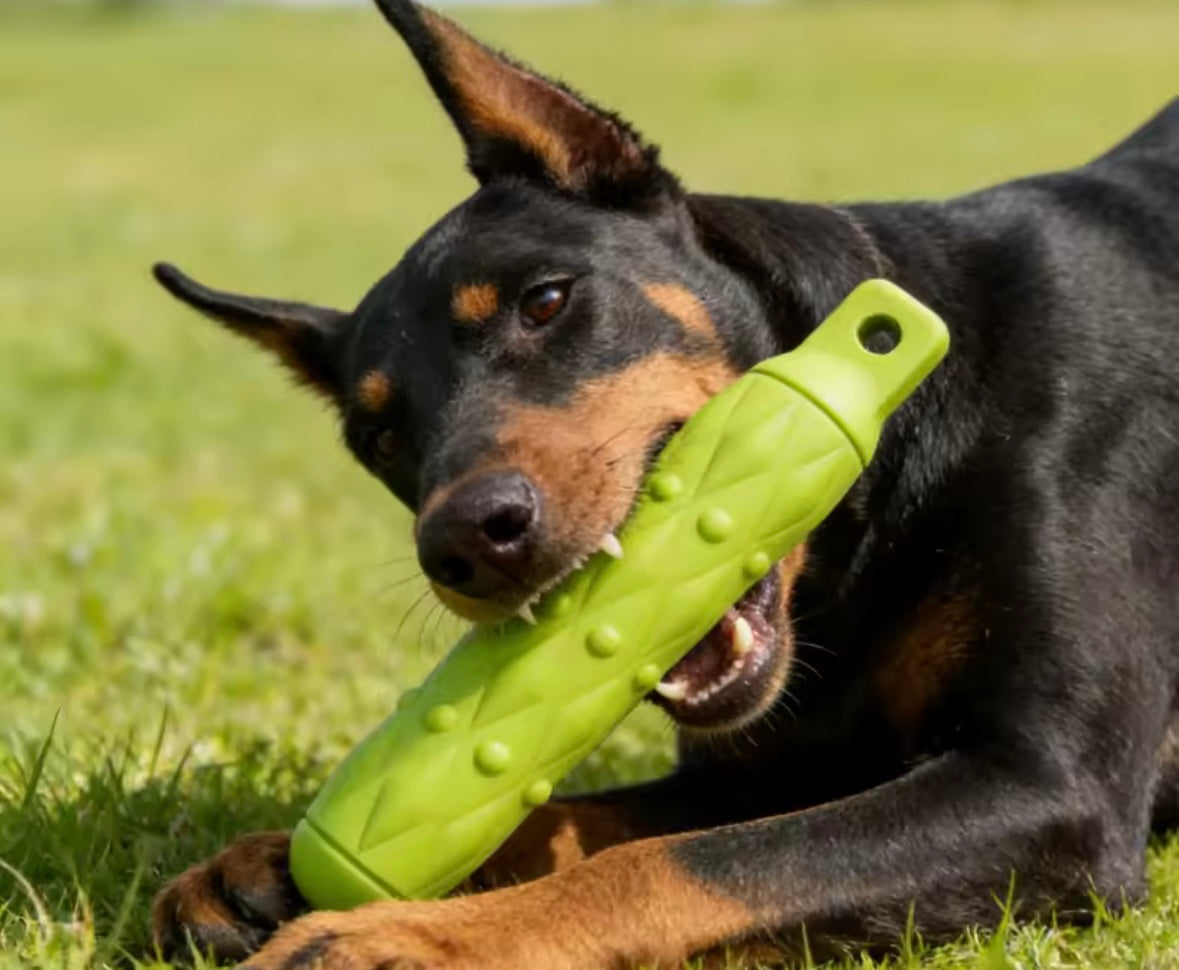 ChewCore Dog Toy