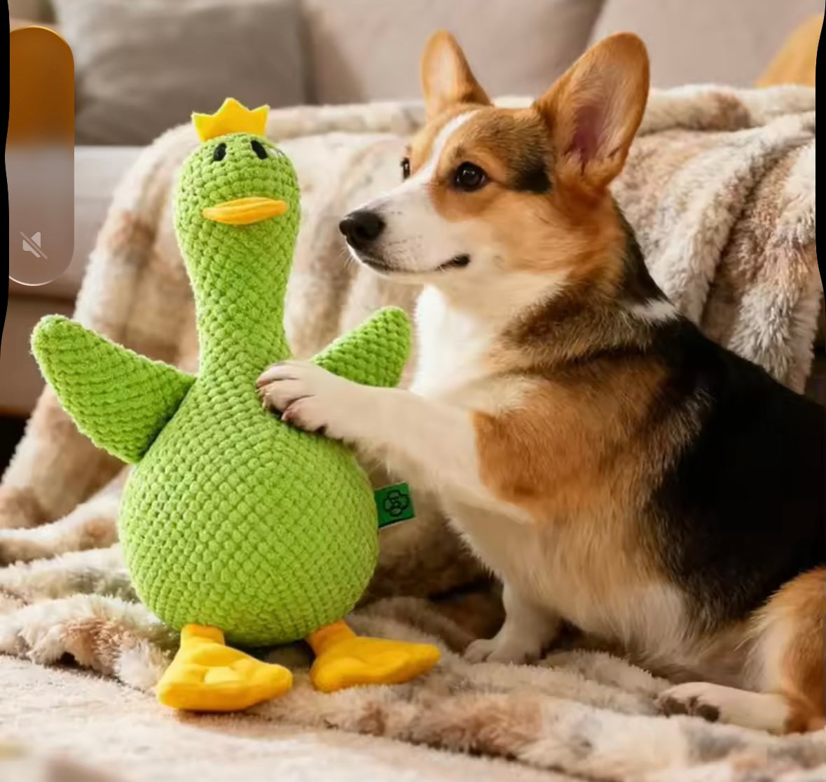 QuackBuddy Duck Toy