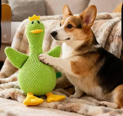QuackBuddy Duck Toy