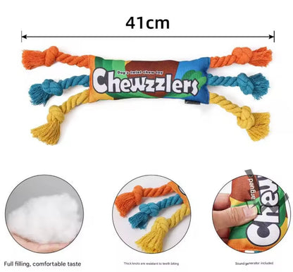 RainbowTwist Chew Toy