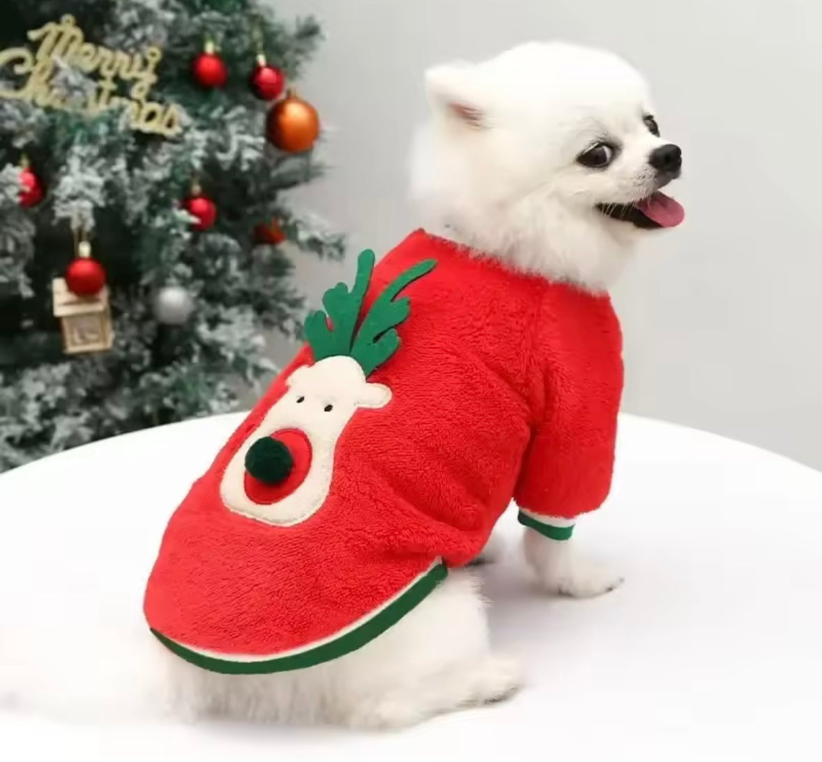 SantaPaws Pet Coat