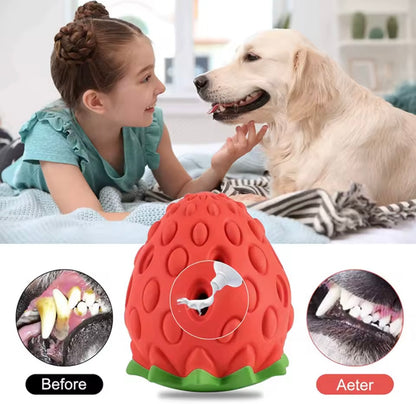 Strawberry Chew Toy