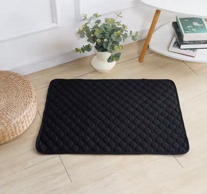 PawSoft Training Pad