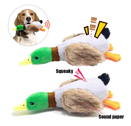 Quacky Dog Toy