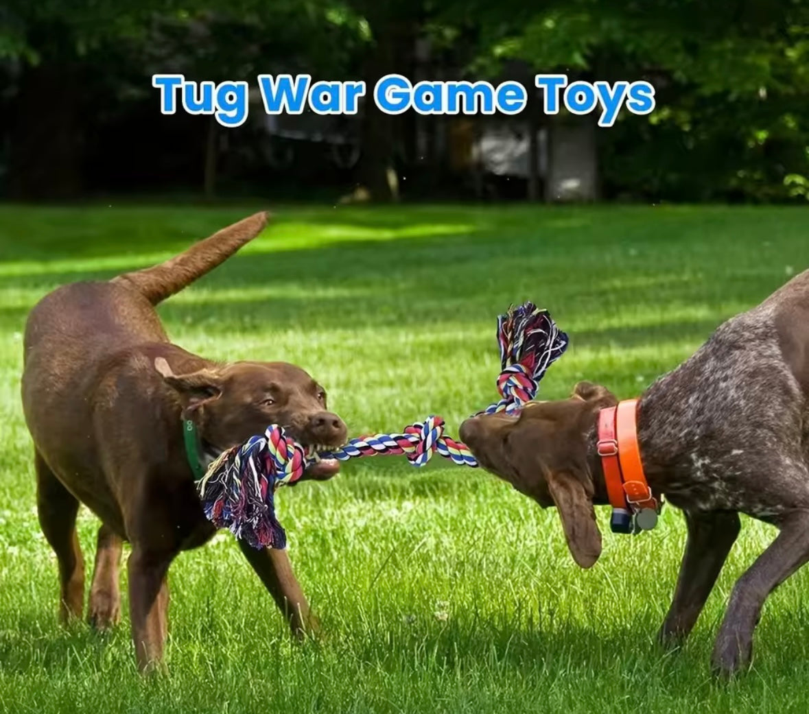 TugPro Dog Toy