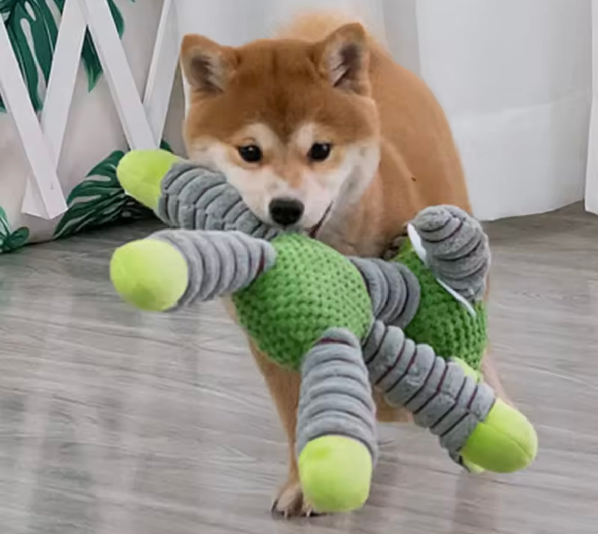 TitanPaw Squeaky Plush Dog Toy