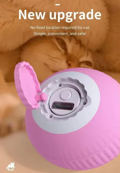 PawBall Smart Pet Toy