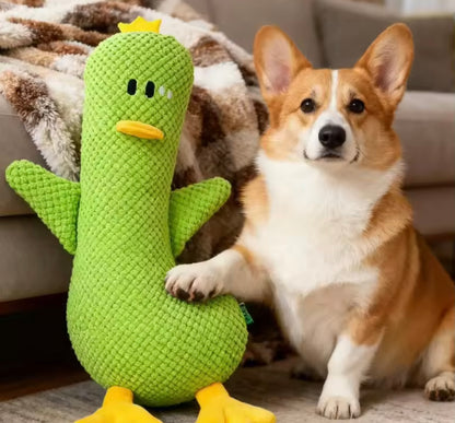 QuackBuddy Duck Toy