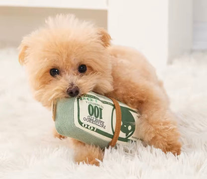 CashBite Dog Toy