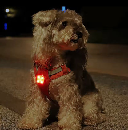 GlowPaws LED Pet Pendant