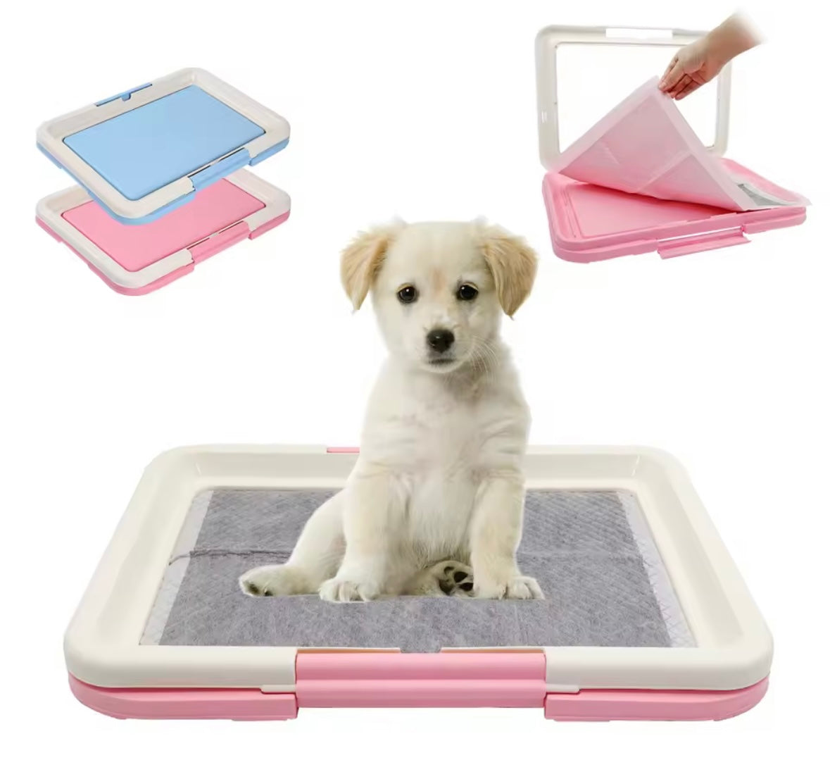 PawPotty Training Toilet