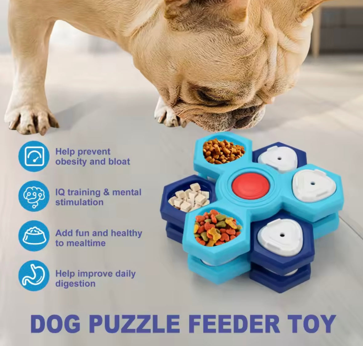 BrainPaws Puzzle Feeder