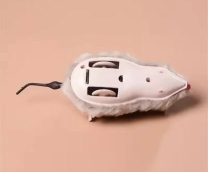 ChaseMouse Cat Toy