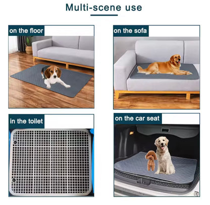 PawSoft Training Pad