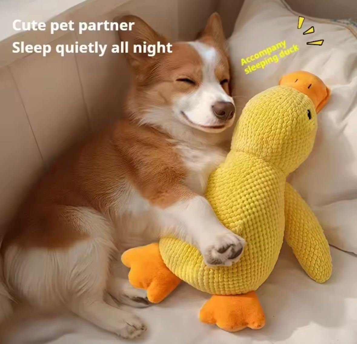 Duckie Squeak Toy