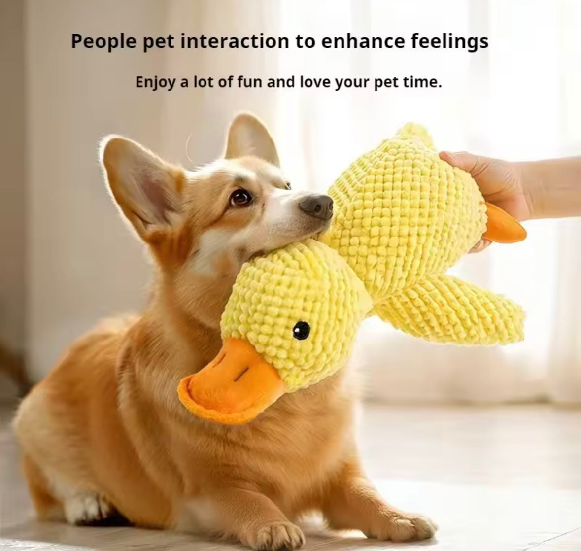 Duckie Squeak Toy