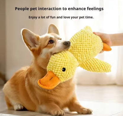Duckie Squeak Toy