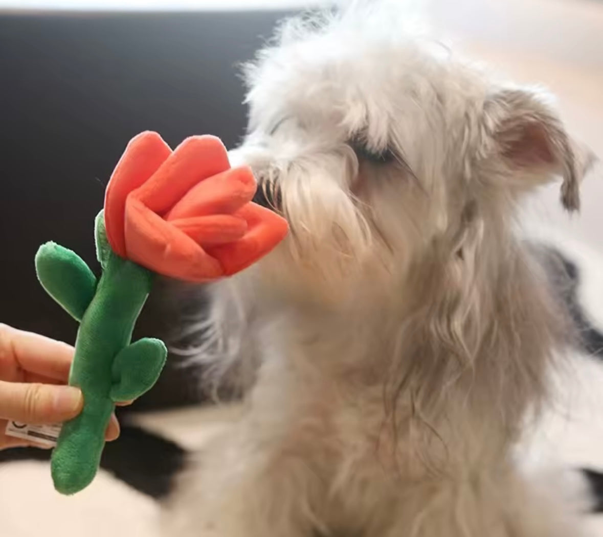 LovePaws Rose Bear Toy