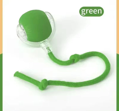 PawBall Smart Pet Toy