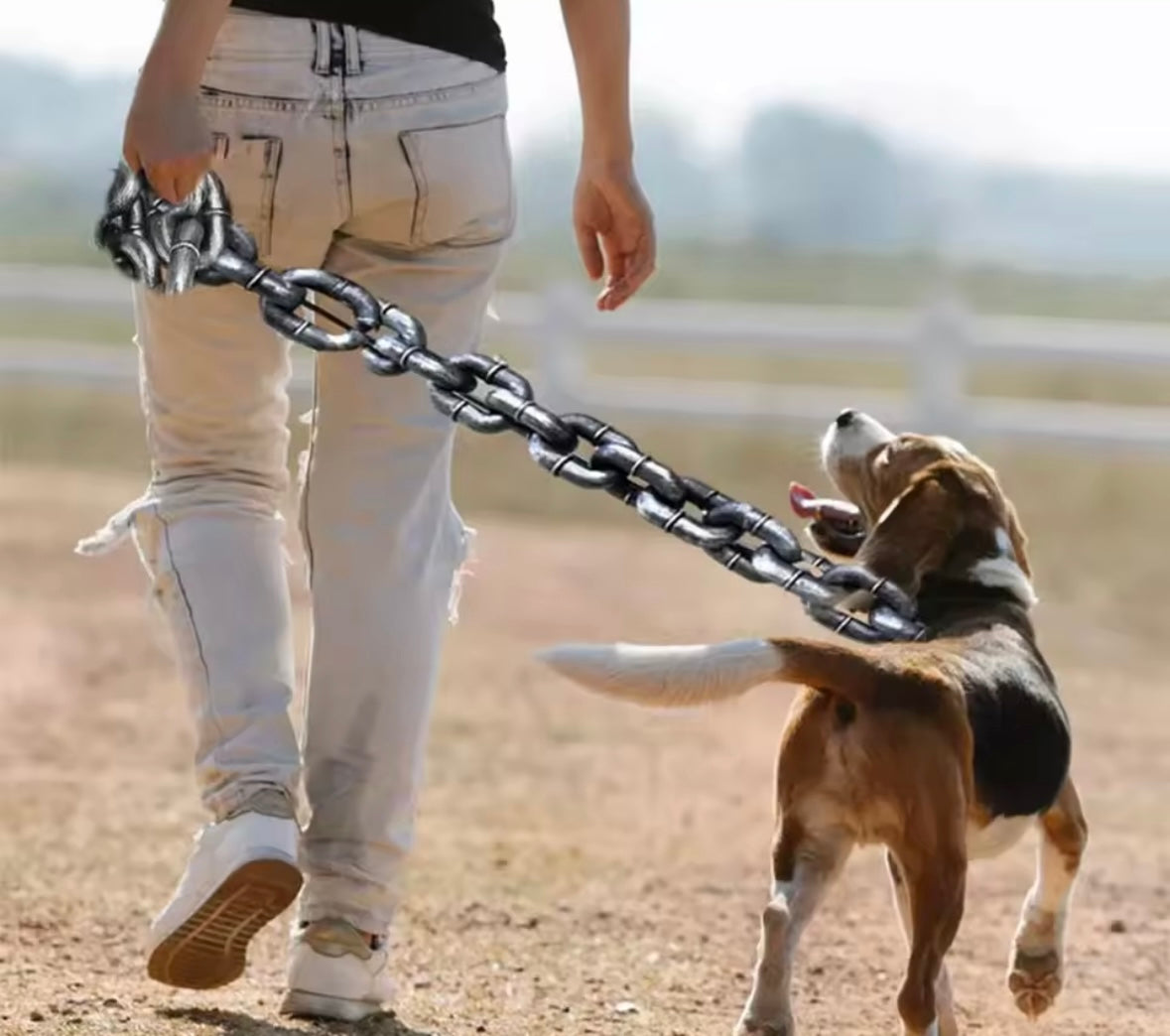 ChainPaws Leash