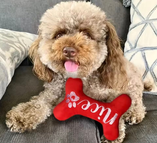 FestPaw Dog Bone Toy
