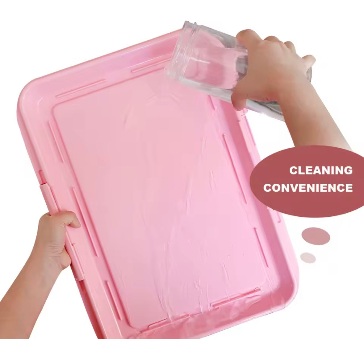 PawPotty Training Toilet
