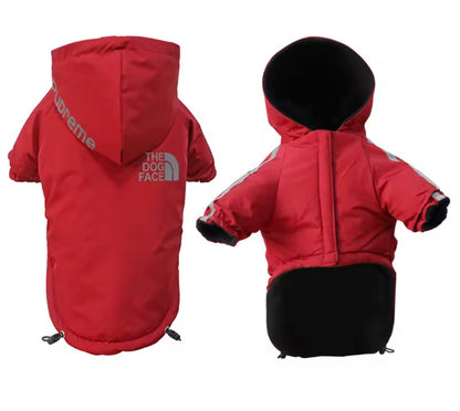 PawShield Dog Raincoat