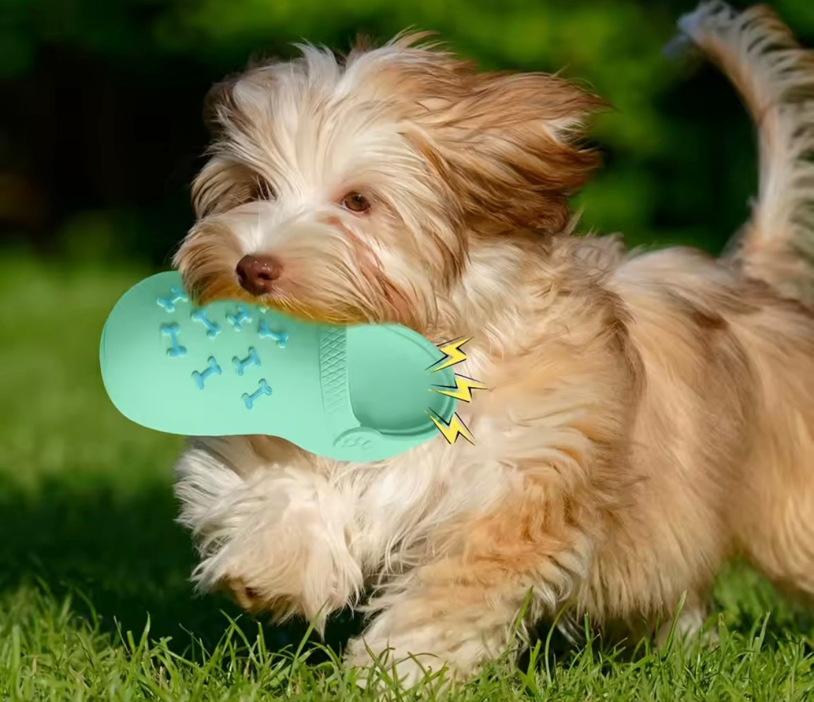 SlipperChew Dog Toy