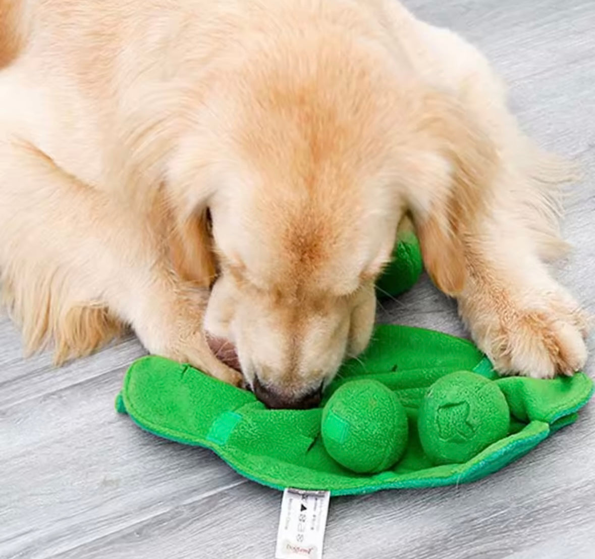 HappySniff Dog Toy