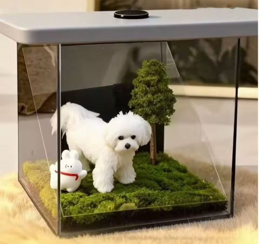 PawVision Holo Projector
