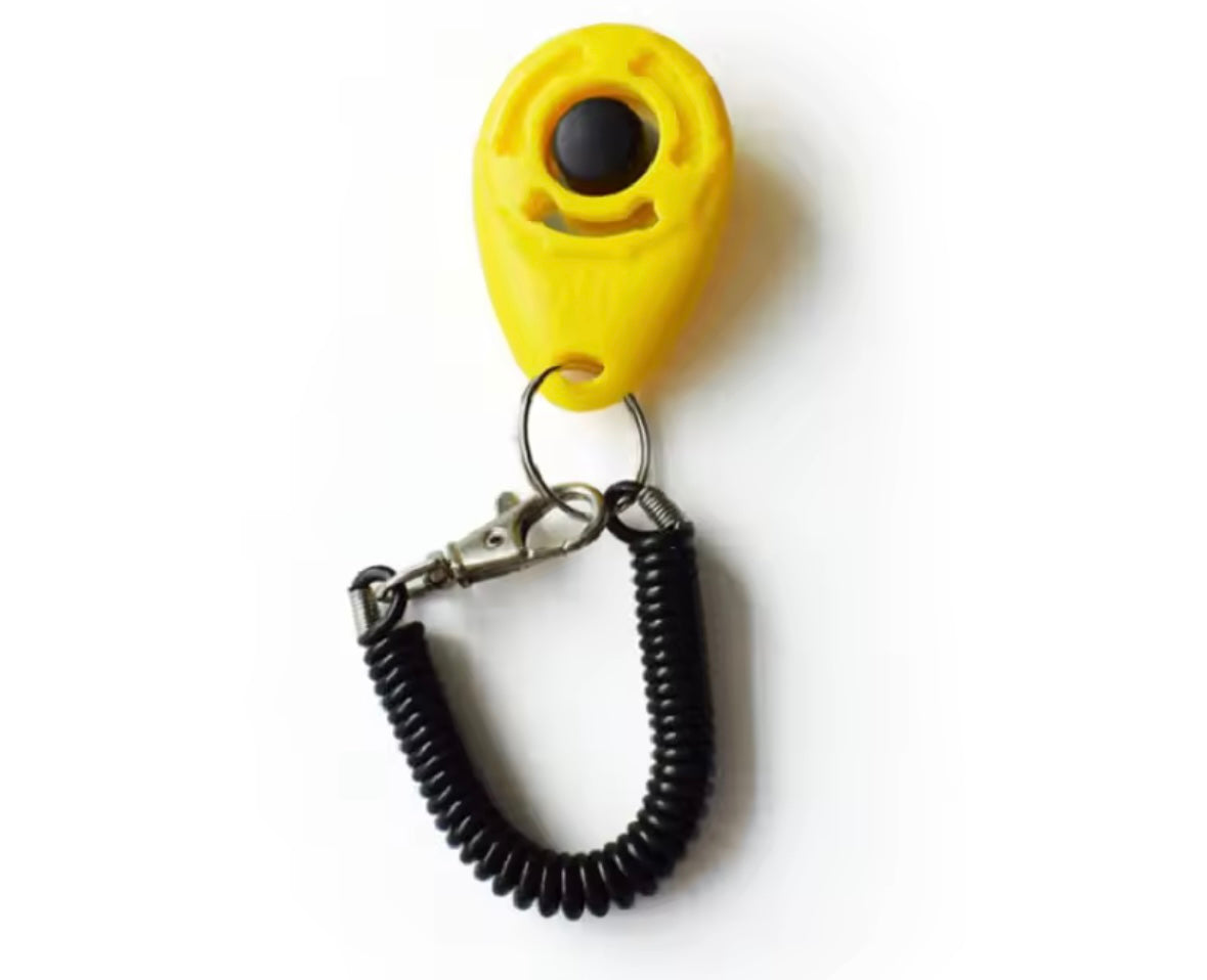 PawClick Dog Trainer