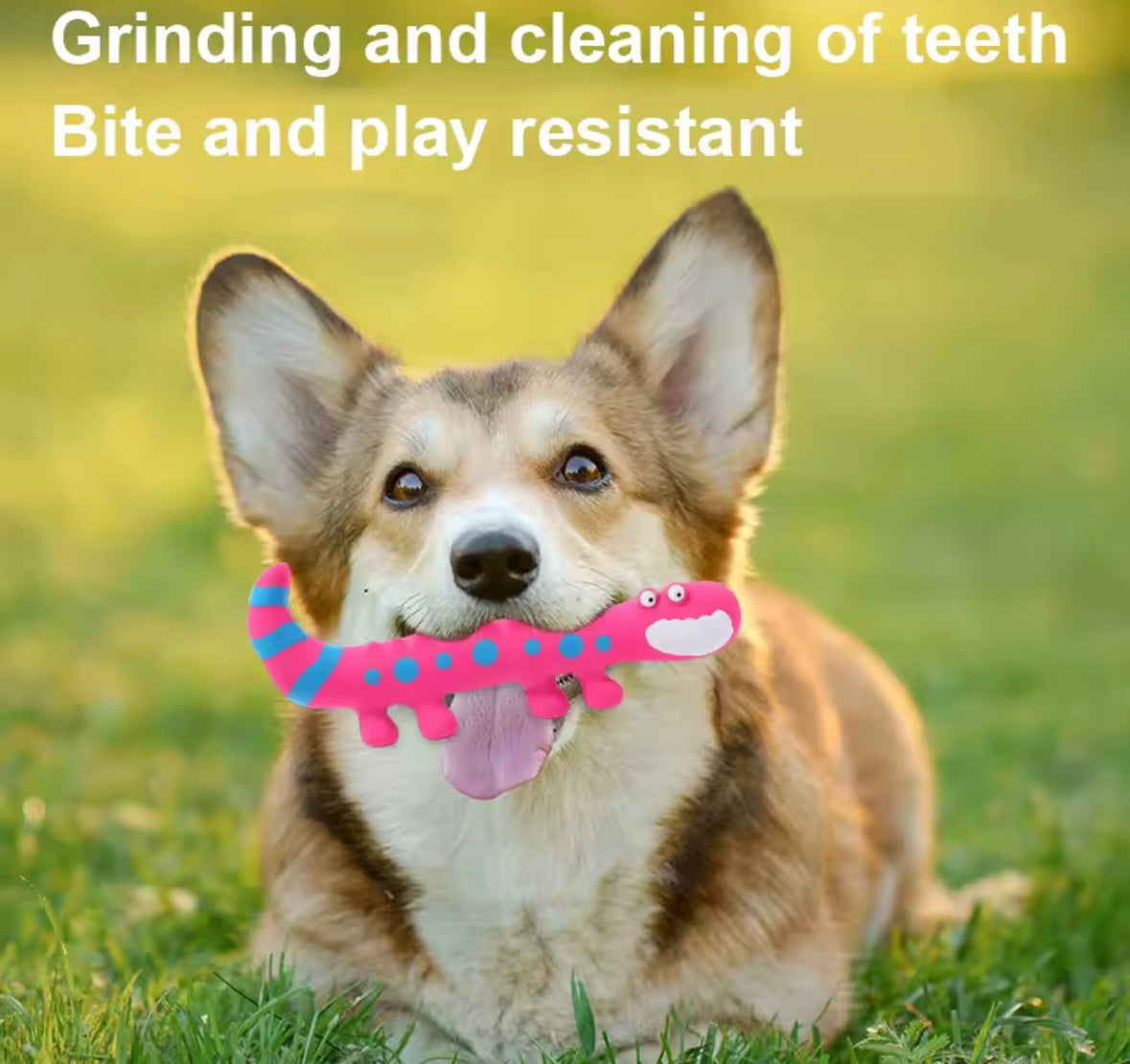 SqueakyLizard Play