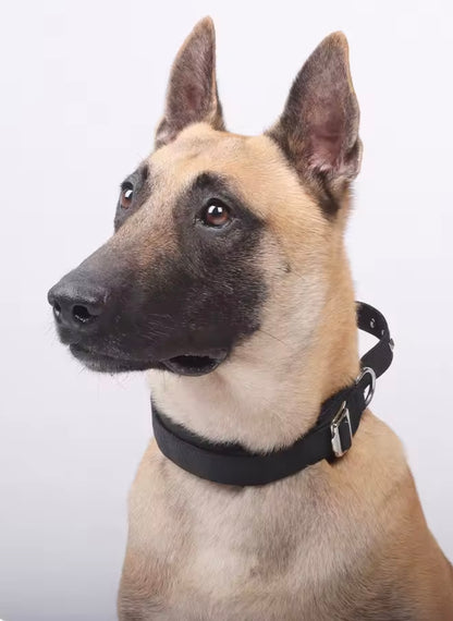 PawSpace Comfort Collar