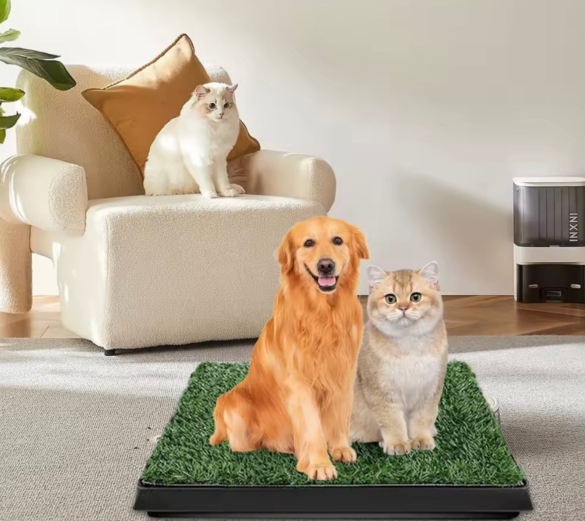 GrassPaws Indoor Dog Potty