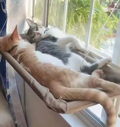 SunPaws Cat Window Hammock