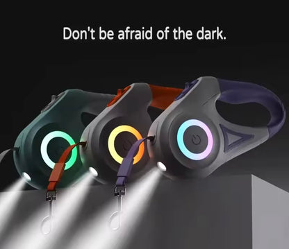 GlowLeash LED Dog Leash