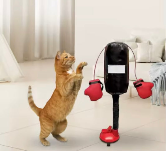 PunchCat Cat Toy