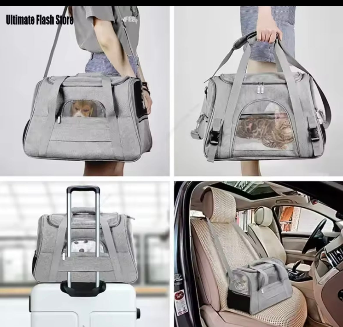 PawCarrier Pet Transporter