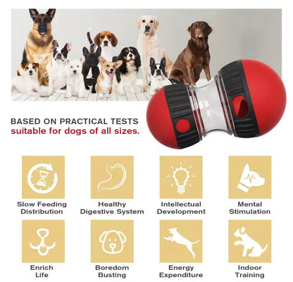 SmartPaw IQ Dog Training Toy