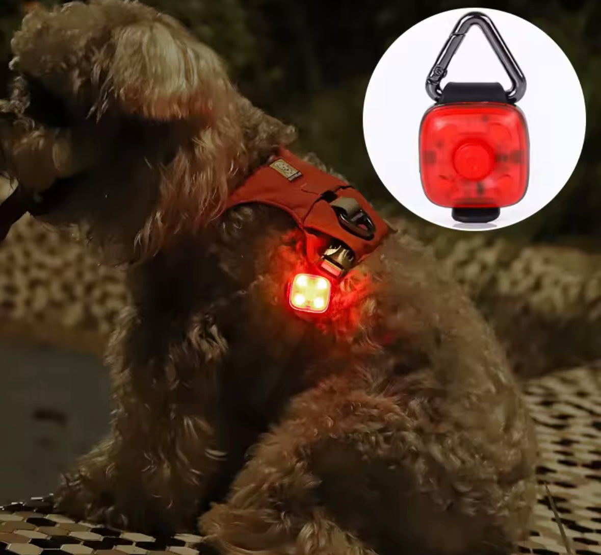 GlowPaws LED Pet Pendant