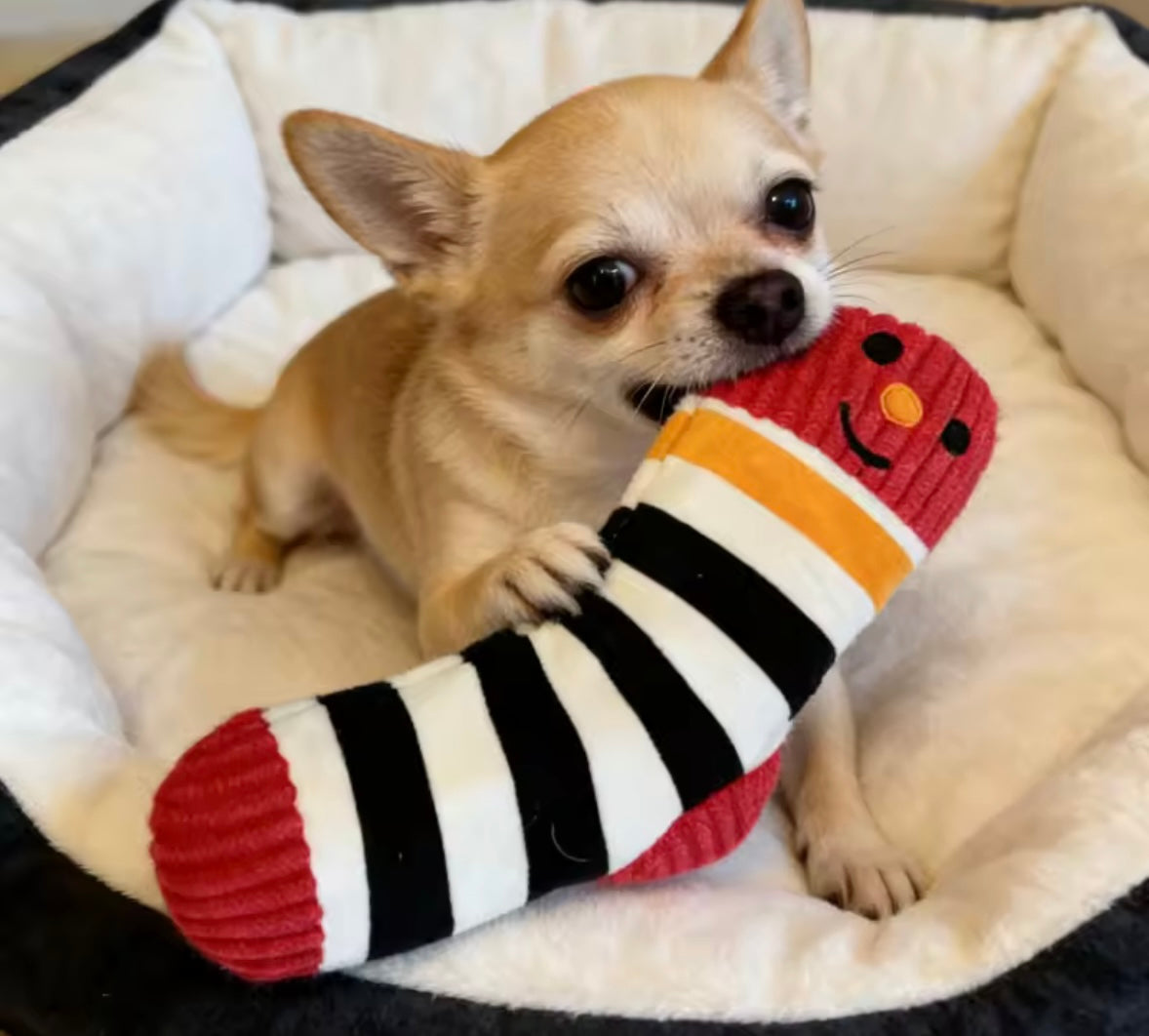 SockBite Squeaky Dog Toy