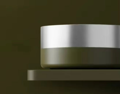 Stainless Steel Pet Bowl